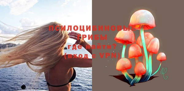 шишки Абдулино
