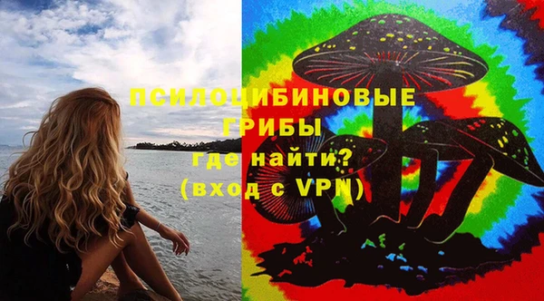 a pvp Абаза