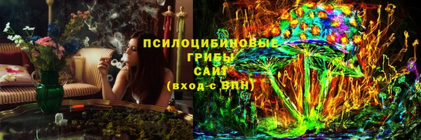 шишки Абдулино