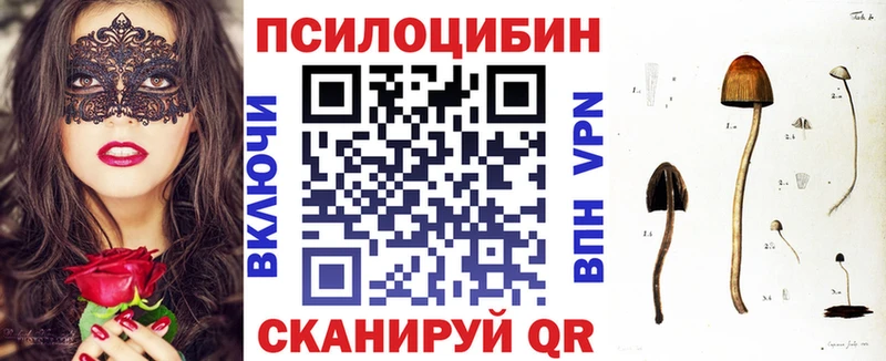 blacksprut сайт Благодарный Галлюциногенные грибы Psilocybe